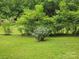Lush green backyard featuring well-maintained lawn and a vibrant flowering bush at 804 Dennis St, Troy, NC 27371