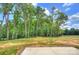 Spacious backyard with vibrant green lawn, mature trees, and glimpses of the surrounding landscape at 2000 Plainfield Dr, Bessemer City, NC 28016