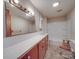 Bathroom featuring a mirror, sink with counter, and toilet at 201 Robinson Rd, Gastonia, NC 28056