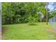Backyard features a green lawn, mature trees, and chainlink fence at 222 W Mccubbins St, Salisbury, NC 28144