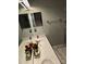 Bathroom with double sinks, large mirrors, decorative roses, and tile floors at 2226 Elendil Ln, Charlotte, NC 28269