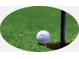 Close-up of golf ball beside a hole on a community green at 2226 Elendil Ln, Charlotte, NC 28269