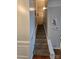 Well-lit carpeted stairway with white railings and decorative wall art at 2226 Elendil Ln, Charlotte, NC 28269