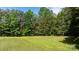 Open fenced backyard with green grass and a treeline in the background at 3423 S Hwy 127 Hwy, Hickory, NC 28602