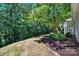Scenic backyard featuring mature trees, green lawn, and manicured landscaping on a sunny day at 35115 Carnation Ln, Fort Mill, SC 29707