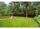 Expansive backyard with lush green lawn and mature trees, perfect for outdoor activities at 3807 Blazeprince Dr, Charlotte, NC 28215