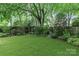 Lush backyard featuring green lawn and trees, and a charming shed at the back at 413 E Worthington Ave, Charlotte, NC 28203