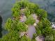 Aerial view of home nestled among lush trees on a point with lake access and docks at 449 Windward Dr, Davidson, NC 28036