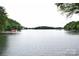Scenic lake view surrounded by dense greenery, offering a serene and peaceful waterfront perspective at 449 Windward Dr, Davidson, NC 28036