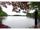 Picturesque lake view framed by lush foliage, with a charming vintage lamp post enhancing the scenery at 449 Windward Dr, Davidson, NC 28036