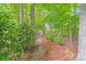 Scenic wooded area featuring mature trees, lush greenery, and a tranquil setting at 8070 Clems Branch Rd, Indian Land, SC 29707