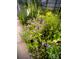 Charming garden with a variety of colorful flowers and lush greenery creating a peaceful outdoor space at 15515 Laverack Ln, Davidson, NC 28036
