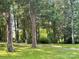Lush trees envelop a property with a winding driveway and verdant greenery, offering a secluded and tranquil ambiance at 541 Greenway St, Davidson, NC 28036