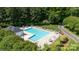 Aerial view of community pool with ample seating, surrounded by mature trees at 609 Atherton Way, Rock Hill, SC 29730