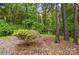 The backyard features lush trees, well maintained landscaping and ample space for outdoor enjoyment at 1035 Wexford Nw Pl, Concord, NC 28027