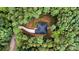 Stunning aerial view of a home nestled in a lush forest, offering privacy and natural beauty at 813 Montreat Dr, Dallas, NC 28034