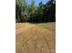 Spacious backyard featuring newly seeded lawn and surrounding trees at 8315 Adrian Ct, Charlotte, NC 28270
