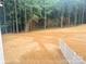 Expansive backyard featuring newly seeded lawn and bordered by lush trees, creating a private, natural setting at 8315 Adrian Ct, Charlotte, NC 28270