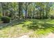 Lush green backyard featuring expansive lawn and surrounding trees, providing a serene outdoor space at 1520 Cureton Dr, Rock Hill, SC 29732