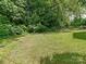 Lush backyard with a large, well-maintained lawn surrounded by mature trees and shrubbery at 1831 Erie St, Charlotte, NC 28216