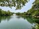 Relaxing view of community pond with fountain surrounded by lush green trees, perfect for relaxation at 2619 Quailrush Rd, Charlotte, NC 28226