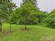 Charming backyard with young fruit trees, surrounded by mature greenery for a private, park-like setting at 3055 16Th Ne St, Hickory, NC 28601