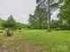 Expansive backyard with well-maintained grass and established trees at 3055 16Th Ne St, Hickory, NC 28601