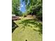 Lush, shaded backyard with mature trees, providing a serene and private outdoor retreat at 6000 Amberly Ln, Charlotte, NC 28213