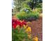Beautiful landscaping featuring vibrant flowers and lush greenery enhancing the outdoor appeal of the property at 6309 Margaret Ct, Indian Trail, NC 28079