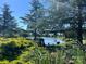 Beautiful pond view framed by mature trees and lush vegetation, offering a serene and natural setting at 6309 Margaret Ct, Indian Trail, NC 28079