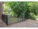The backyard is bordered by a wrought iron fence and greenery at 9900 Colvard Cir, Charlotte, NC 28269