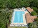 Overhead view of a community pool highlighting blue lounge chairs, umbrellas, and a pool house amid green trees at 12303 Shadow Ridge Ln, Charlotte, NC 28273