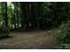 A partially cleared back yard featuring lush green trees and lawn at 1250 Hampton Grace Ave, Lancaster, SC 29720