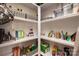 Walk-in pantry with ample shelving offers plentiful storage for food and household items at 20216 Shaffer Bach Ln, Charlotte, NC 28277