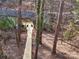 Newly constructed wooden walkway leading to a private dock, blending seamlessly with the natural landscape at 2143 Manawa Ln, Tega Cay, SC 29708