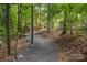 Gravel walking path lined with trees and rocks, providing a serene and natural environment for leisurely strolls at 10607 Newberry Park Ln, Charlotte, NC 28277