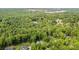 Expansive aerial view showcases a luxury home nestled among dense, lush greenery and mature trees at 10874 Rise Ln, Fort Mill, SC 29707