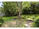 A large backyard with mature trees, a stone fire pit, and plenty of green space at 6231 Coach Hill Ln, Charlotte, NC 28212