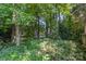Lush foliage and mature trees surround a home with a partial view, creating a private and serene outdoor space at 9419 Olivia Ln, Charlotte, NC 28277
