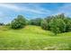 Beautiful lawn showcasing mature trees under a bright blue sky at 164 Vance Farm Dr, Statesville, NC 28625