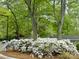 Lush landscaping featuring flowering bushes and mature trees for a serene setting around the property at 401 Lake Club Dr, Rock Hill, SC 29732