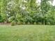 Expansive backyard with lush green lawn and mature trees providing privacy at 4025 Foxes Trl, Cramerton, NC 28032