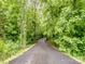 A long driveway through a forest provides a secluded entrance to a charming home at 5369 Concord Rd, York, SC 29745