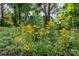 Lush garden featuring Black-Eyed Susans and other native plants at 616 26Th Nw St, Hickory, NC 28601