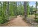 A nature trail winds through a lush, wooded area at 9833 Ardley Park Way, Mint Hill, NC 28227