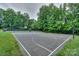 Outdoor basketball court surrounded by lush greenery, promoting an active lifestyle at 14831 Charterhouse Ln, Huntersville, NC 28078