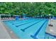 Community swimming pool featuring lap lanes, lounge chairs, and a kid-friendly area at 14831 Charterhouse Ln, Huntersville, NC 28078