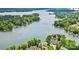 Aerial view of lakefront properties, showcasing stunning waterfront views and lush greenery at 2010 Brightflower Ln, York, SC 29745