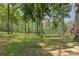 Expansive lawn area surrounded by mature trees at 2709 Blythe Rd, Waxhaw, NC 28173