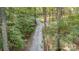 Long driveway leading through lush trees and foliage creating a private entry to the property at 2709 Blythe Rd, Waxhaw, NC 28173